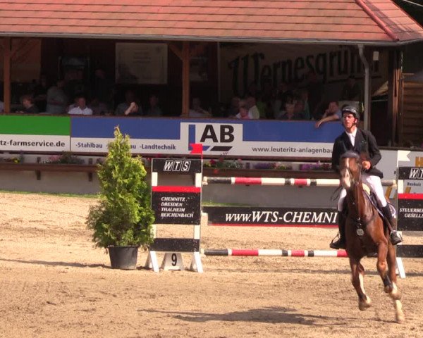 Reitturnier Lgl.-Oberhain, B95 2019
