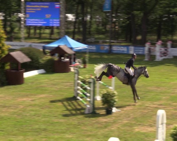 Reitturnier Cottbus-Sielow 2019