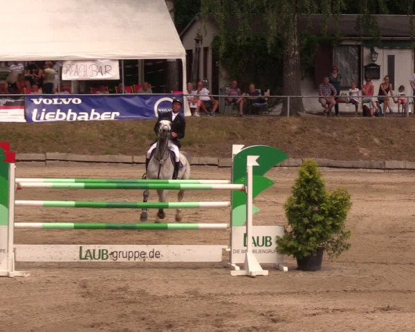Reitturnier Lgl.-Oberhain, B95 2019