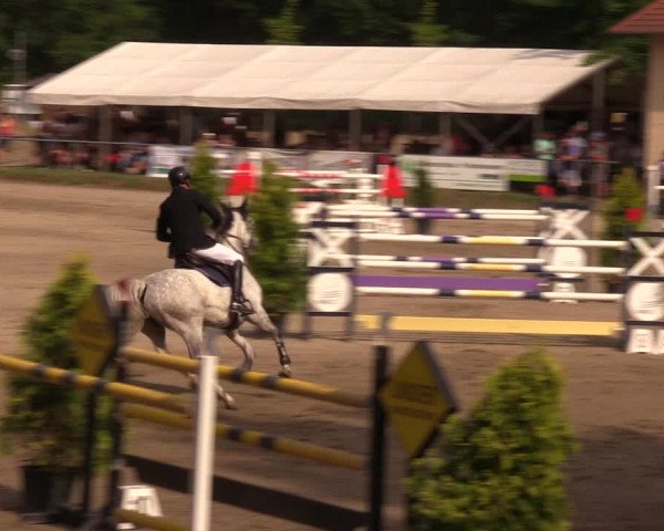 Reitturnier Lgl.-Oberhain, B95 2019