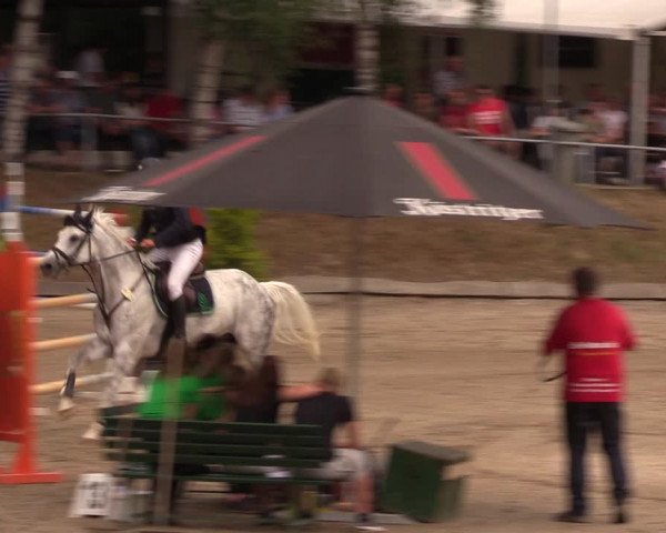 Reitturnier Lgl.-Oberhain, B95 2019