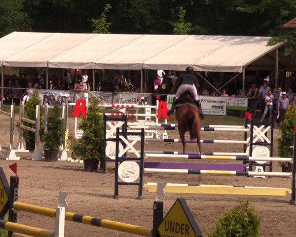 Reitturnier Lgl.-Oberhain, B95 2019