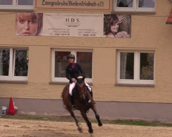 Reitturnier Lgl.-Oberhain, B95 2019