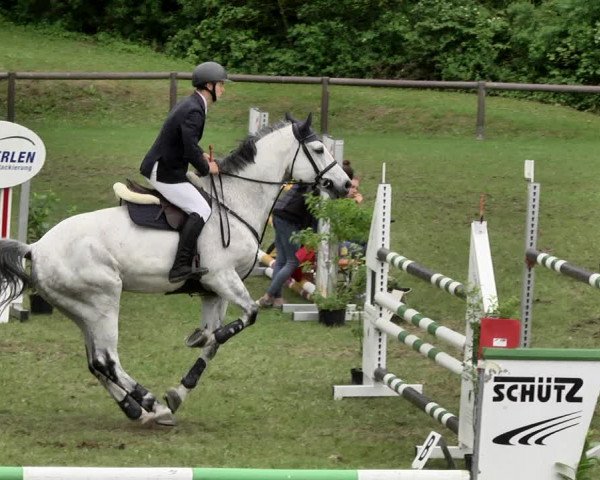 Reitturnier Jettingen 2019