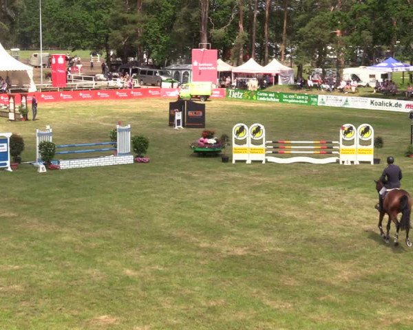 Reitturnier Cottbus-Sielow 2019