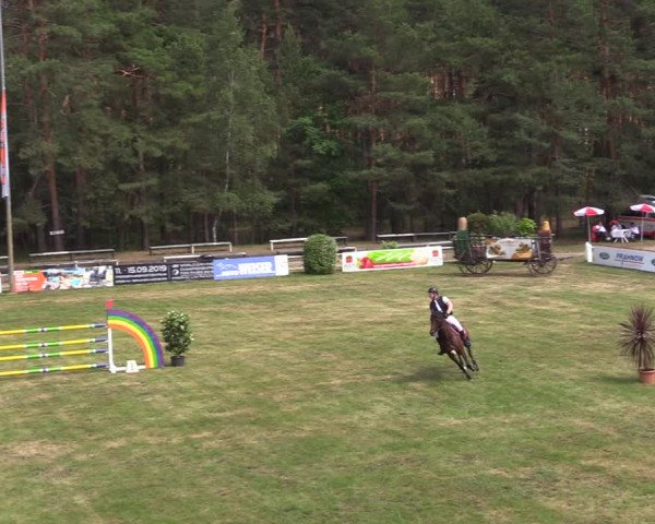 Reitturnier Cottbus-Sielow 2019