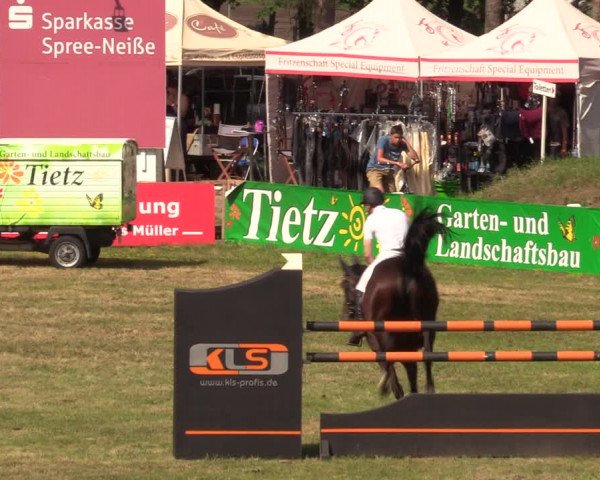 Reitturnier Cottbus-Sielow 2019