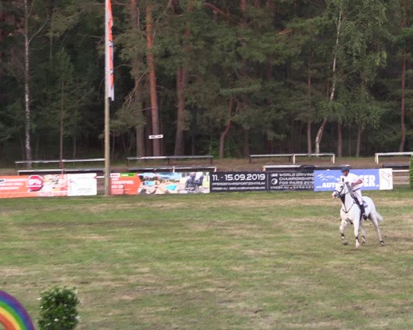 Reitturnier Cottbus-Sielow 2019
