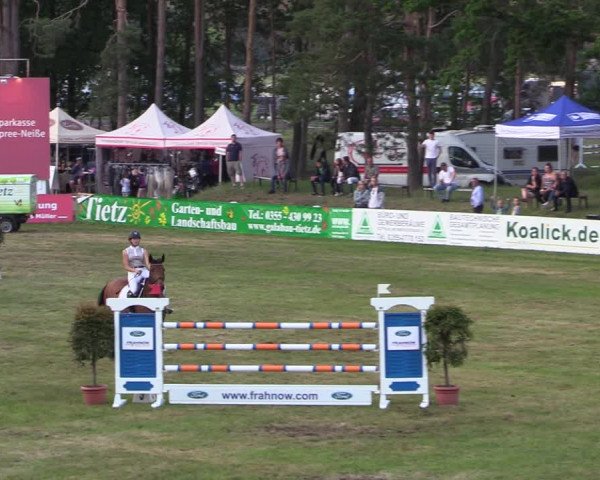 Reitturnier Cottbus-Sielow 2019