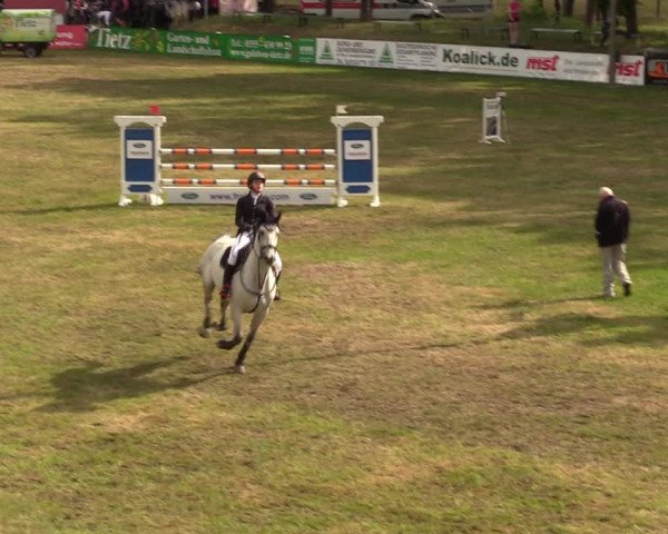 Reitturnier Cottbus-Sielow 2019
