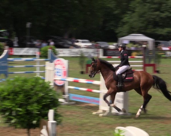 Reitturnier Borken 2019