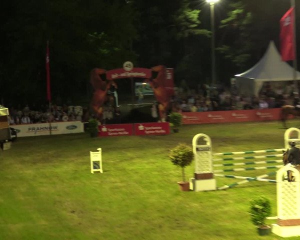 Reitturnier Cottbus-Sielow 2019
