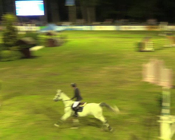 Reitturnier Cottbus-Sielow 2019