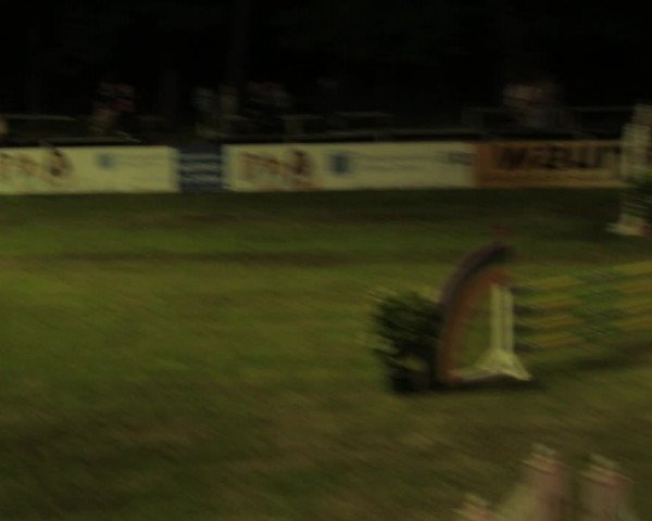 Reitturnier Cottbus-Sielow 2019