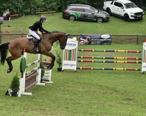 Reitturnier Jettingen 2019