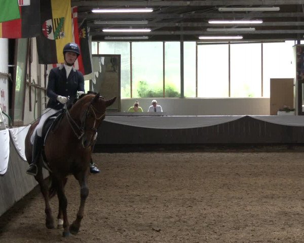 Reitturnier Bochum-Nord 2019