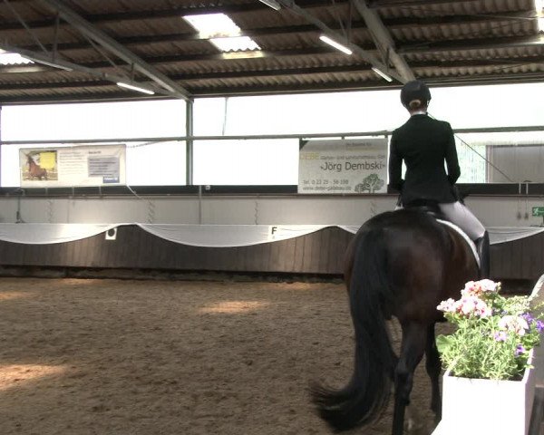 Reitturnier Bochum-Nord 2019