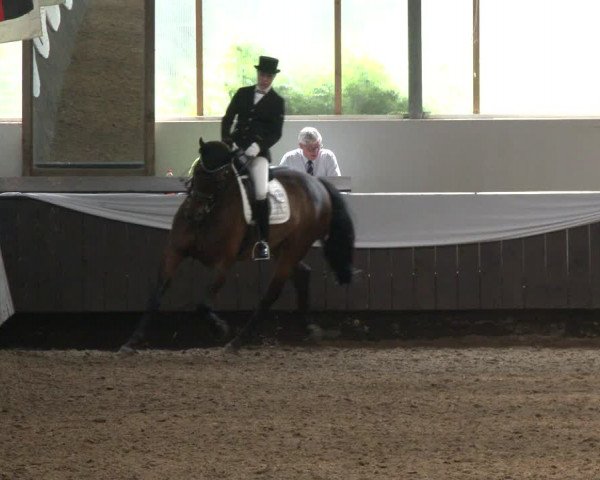 Reitturnier Bochum-Nord 2019