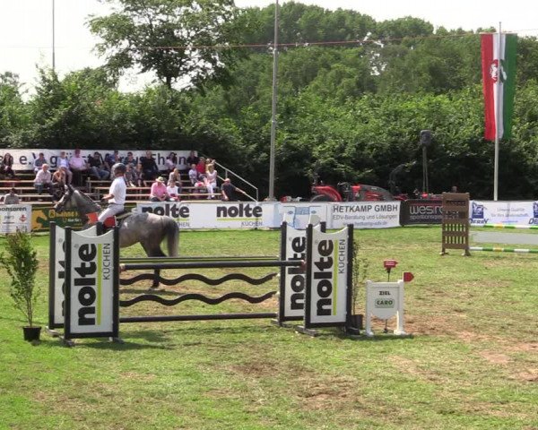 Reitturnier Borken 2019