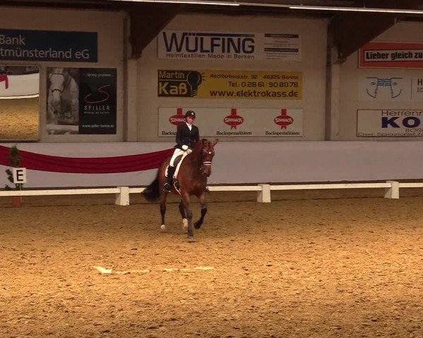 Reitturnier Borken 2019
