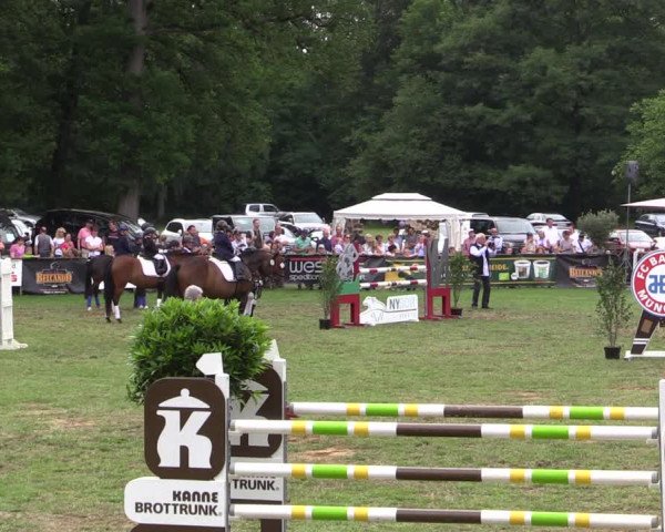Reitturnier Borken 2019
