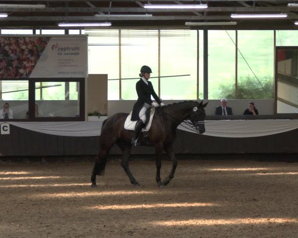 Reitturnier Bochum-Nord 2019