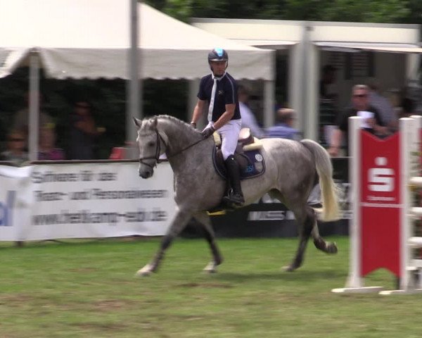 Reitturnier Borken 2019