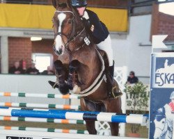 jumper Clay's Cara (Oldenburg show jumper, 2010, from Clay)