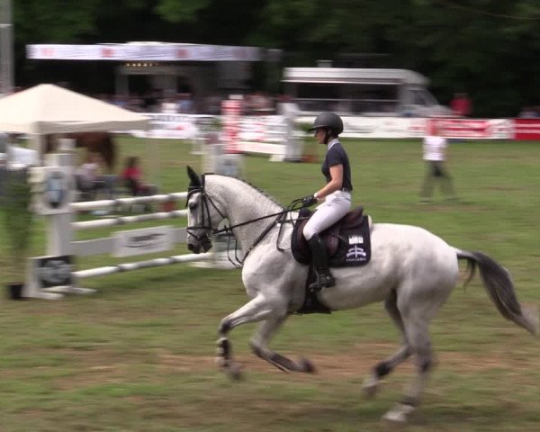 Reitturnier Borken 2019