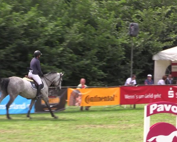Reitturnier Borken 2019