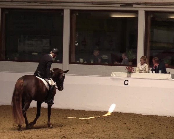 Reitturnier Borken 2019