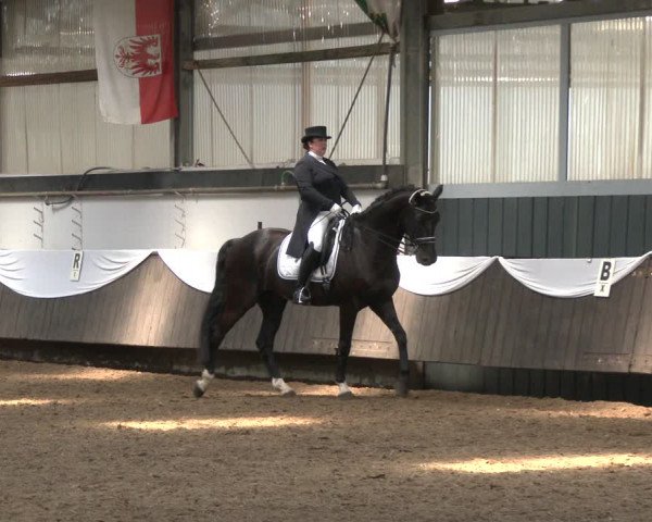 Reitturnier Bochum-Nord 2019