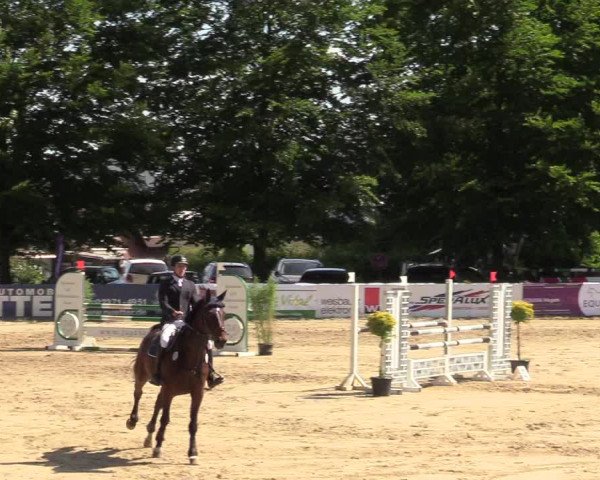 Reitturnier Iserlohn-Kalthof 2019