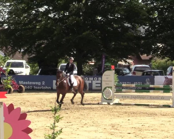 Reitturnier Iserlohn-Kalthof 2019