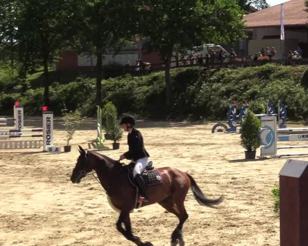Reitturnier Iserlohn-Kalthof 2019