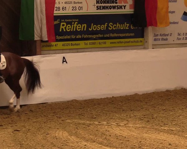 Reitturnier Borken 2019