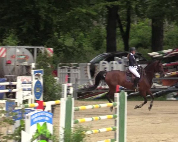 Reitturnier Iserlohn-Kalthof 2019