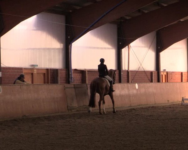 Reitturnier Iserlohn-Kalthof 2019