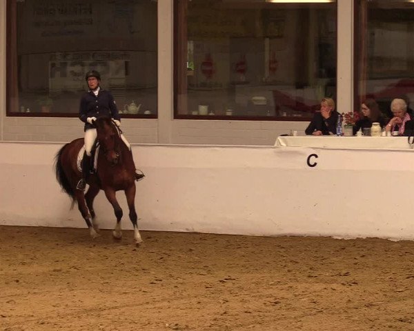 Reitturnier Borken 2019
