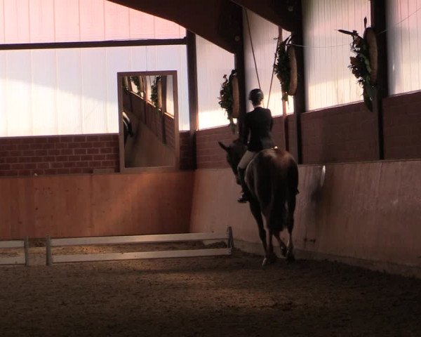 Reitturnier Iserlohn-Kalthof 2019
