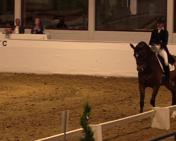Reitturnier Borken 2019