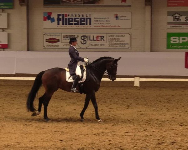 Reitturnier Borken 2019