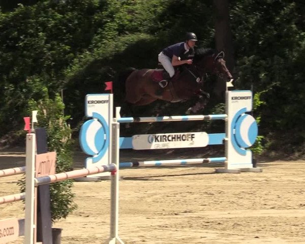 Reitturnier Iserlohn-Kalthof 2019