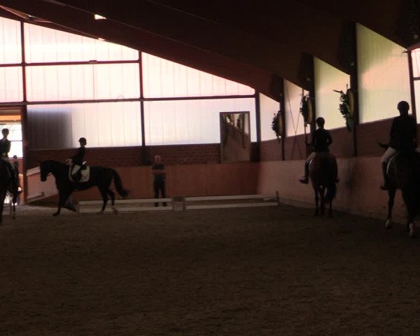 Reitturnier Iserlohn-Kalthof 2019