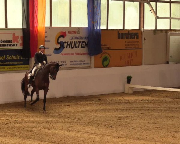Reitturnier Borken 2019