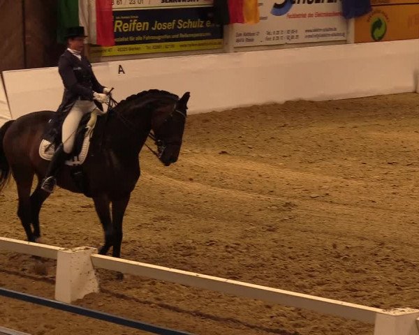 Reitturnier Borken 2019