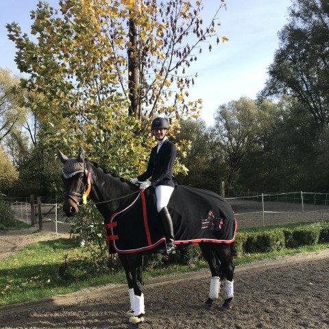 dressage horse Fairytale 106 (Oldenburg, 2013, from Fürstenball)
