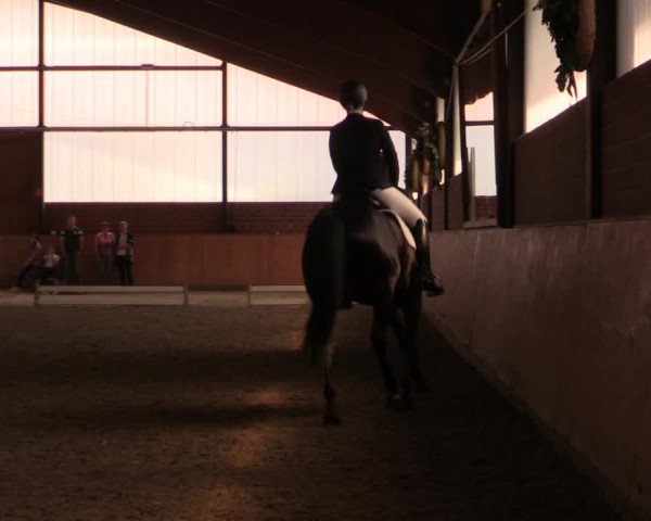 Reitturnier Iserlohn-Kalthof 2019
