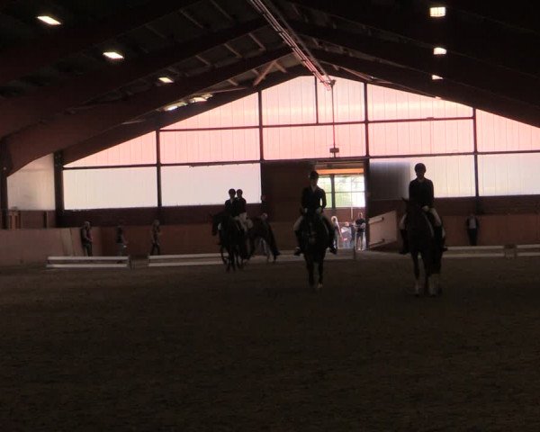 Reitturnier Iserlohn-Kalthof 2019