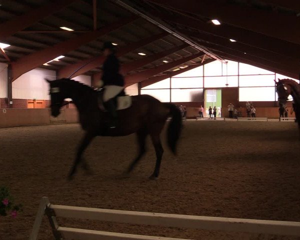 Reitturnier Iserlohn-Kalthof 2019